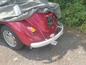 The ever-popular Beetle