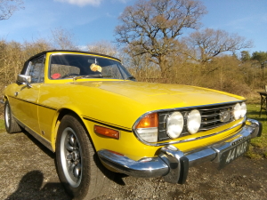 A yellow Triumph Stag