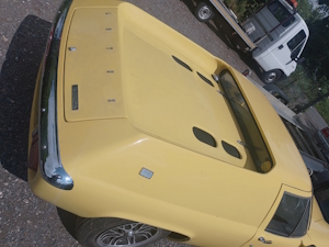 Yellow Lotus Europa