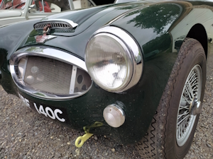 Racing Green Austin Healey