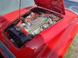 Healey with bonnet up